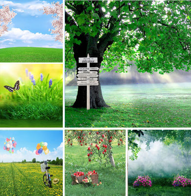 快手抖音背景布摄影背景布儿童拍照背景布网红直播主播背景布r9 虎窝淘