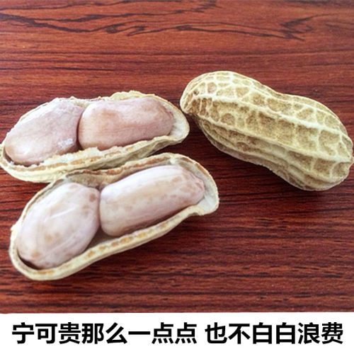 新福建龙岩紫衣湿烤小籽香酥咸干盐水煮花生散装农家特产500gx3斤 - 图2