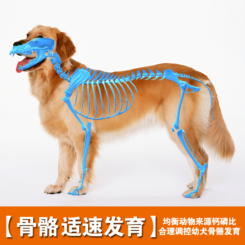 艾尔狗粮金毛阿拉斯加古牧边牧大型犬幼犬粮20kg  狗粮40斤
