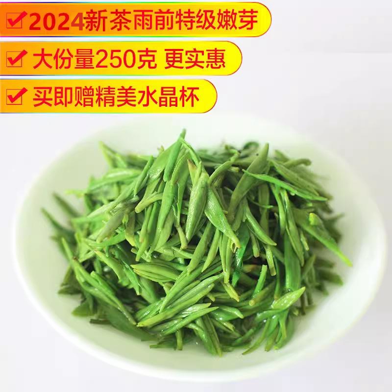 毛尖茶叶信阳毛尖2024新茶绿茶茶叶特级嫩芽雨前春茶散装浓香型-图1