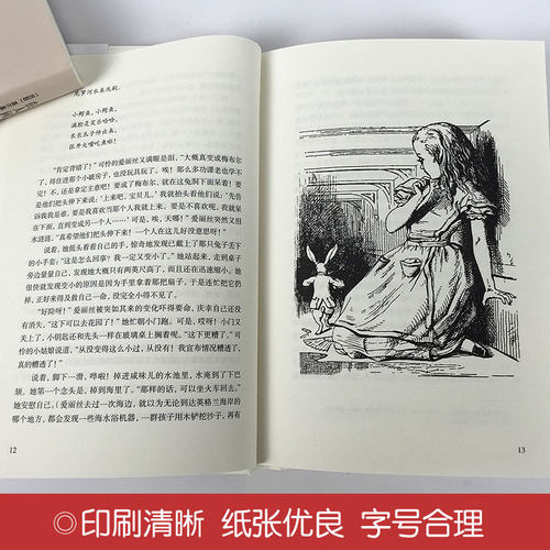 爱丽丝漫游奇境记精装全集无删减正版书包邮三四五六年级课外书中小学课外读物经典世界名著梦游仙境奇遇记书籍中国文联出版社hp - 图2