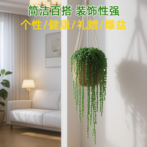 佛珠多肉框情绪绿植吊篮阳台窗户悬挂式花架长藤吊兰室内盆栽植物 - 图2