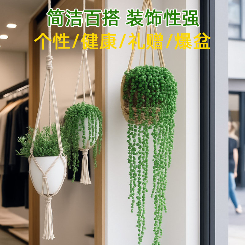 长藤垂吊兰悬壁挂佛珠多肉绿植物室内外好养幼儿园植物角带盆栽好,淘宝优惠券,粉丝福利购,淘宝优惠卷