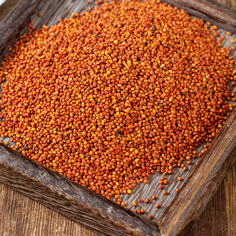 楮实子中药材500克正品新货褚实子野生楮实子另售威灵仙 - 图0