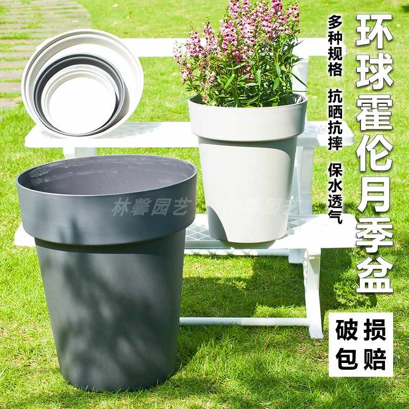 花园植物盆栽花 新人首单立减十元 22年5月 淘宝海外