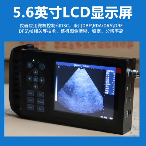 兽用B超机羊牛用b超母猪测孕仪器猪用比超机便携超声波怀孕检孕仪 - 图2