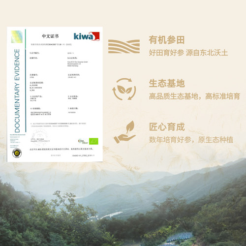【送礼推荐】正官庄原支参模压红参50g人参泡酒茶健康滋补中药材 - 图1