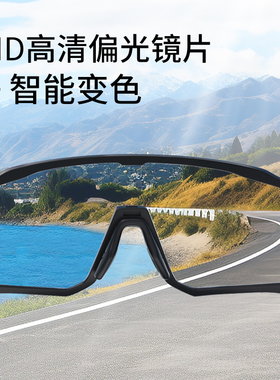 偏光变色日夜两用骑行眼镜太阳镜