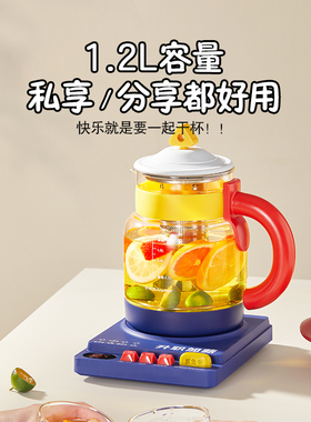 荣事达养生壶办公室小型煮茶壶