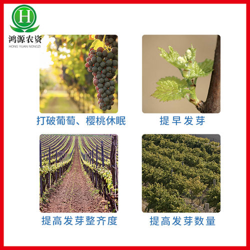 优美芽50%单氰胺葡萄樱桃猕猴桃油桃破眠剂催芽剂植物生长调节剂 - 图2