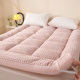 Thickened milk velvet mattress cushion for home bedroom plus velvet
