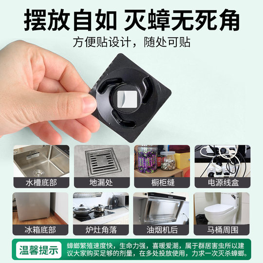 The old housekeeper’s cockroach medicine kills the entire nest of cockroaches