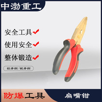 Explosion-proof flat-mouth pliers anti-explosion duckbill pliers Pliers Flat Mouth Pliers Truncating Pliers Customizable Anti-Magnetic Pliers