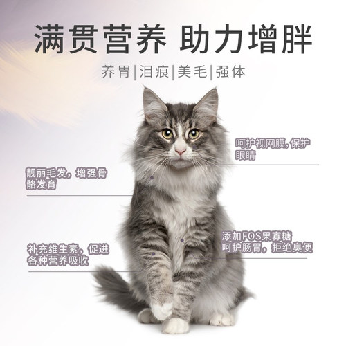 麦露滋银鱼双拼20斤猫粮 幼猫成猫室内猫全猫主粮天然无谷1.5kg - 图2