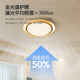 Suoyan leafless fan lamp full spectrum eye protection ancient style