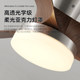Eye-protecting simple high-bright silent Puri lamp bead fan light
