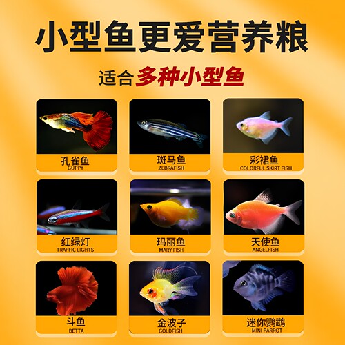 森森孔雀鱼饲料鱼食小颗粒热带鱼饲料 观赏小型鱼饲料灯科鱼鱼粮 - 图3