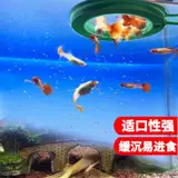 Sensen Peacock Feed Feed Fid Food Маленькие частицы тропическая рыба кормление, наблюдая за небольшими рыбами. Семейство Семейная рыба и рыба