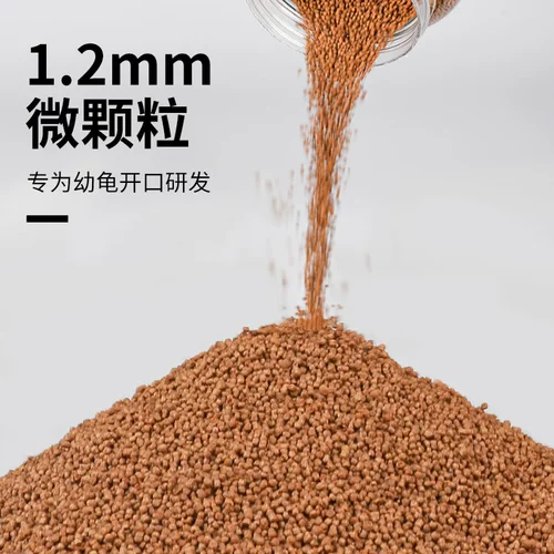 Sensen Young Turtle Food Turtle Кормить молодую черепаху