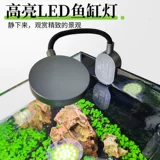 Sensen Fish Tank Living Room Небольшой ультра -белый стеклян