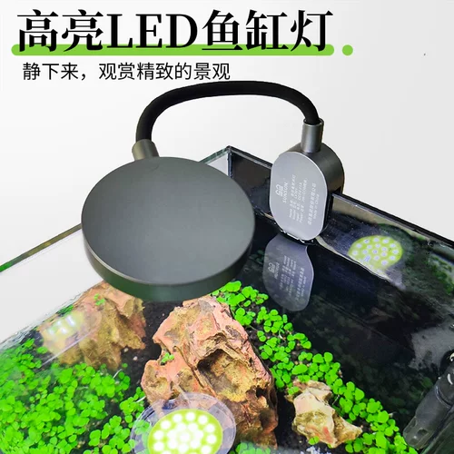 Аквариум для гостиной, маленький стеклянный декор из смолы, полный комплект