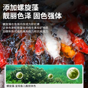 森森锦鲤鱼食观赏鱼金鱼饲料 小颗粒增色鱼粮锦鲤鱼饲料不浑水