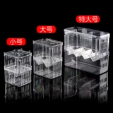 Коробка для размножения Morison Peacock Акриловая инкубационная коробка