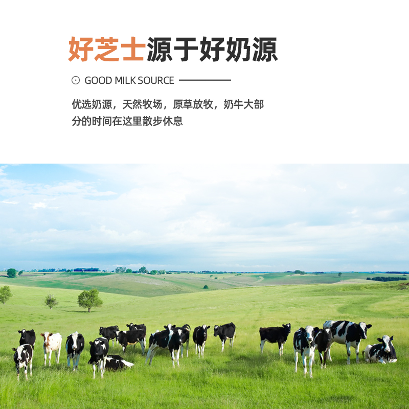 妙可蓝多马苏里拉奶酪450g*3袋芝士碎家用披萨原料焗饭起司拉丝,淘宝优惠券,粉丝福利购,淘宝优惠卷