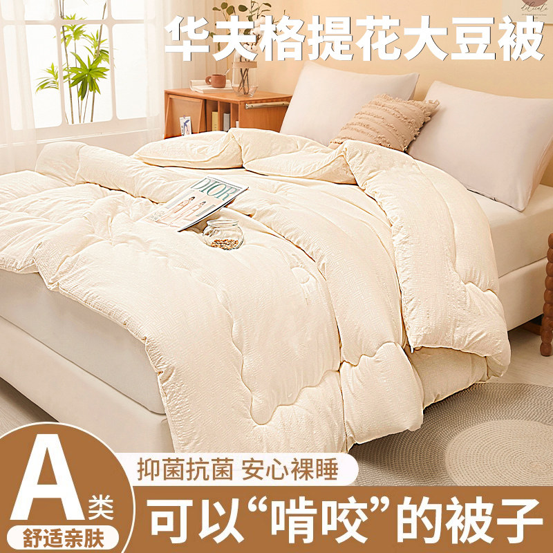 A类大豆纤维被子被芯棉被加厚保暖冬被四季通用春秋被单人空调被,淘宝优惠券,粉丝福利购,淘宝优惠卷