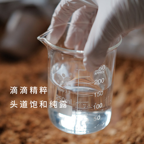 敷完皮肤嫩嫩的檀香纯露 补水紧致肌肤只取头道纯露500ml - 图2