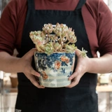 Керамический дышащий креативный сине-белый цветочный горшок