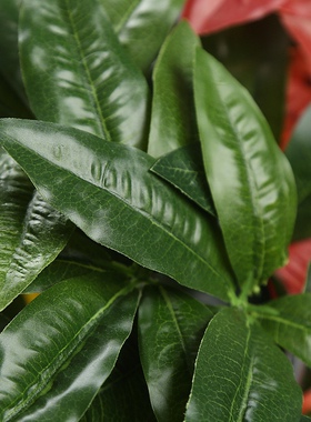 仿真发财树叶假花绿植盆栽家居装饰摆件植物墙面配材发财叶金钱叶
