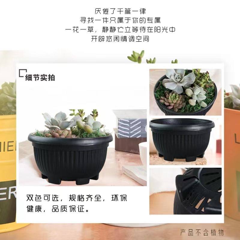 元宝盆加厚韩式多肉盆仙人球盆大口径圆形花盆塑料矮盆新款有孔,淘宝优惠券,粉丝福利购,淘宝优惠卷