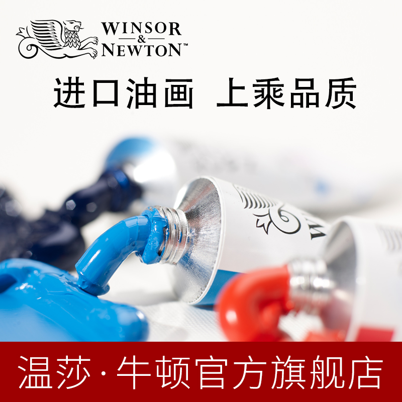 温莎牛顿winsornewton法国进口艺术家油画颜料套装37ml 200ml管支-2