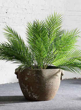 陶瓷大缸乌龟金鱼流水摆件睡莲盆