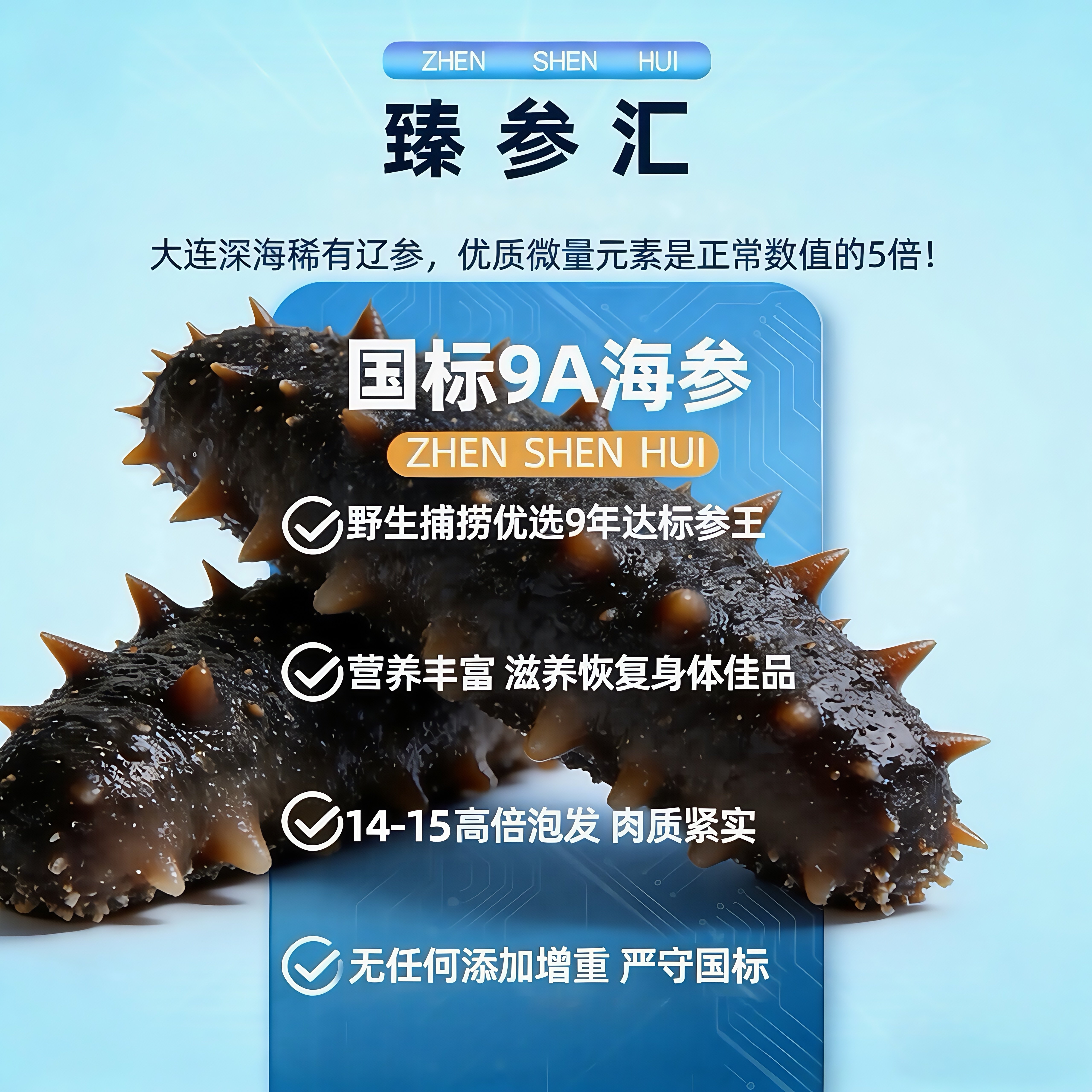 大连淡干海参国标15倍纯野生海鲜9年干货礼盒装深海辽刺参孕妇补