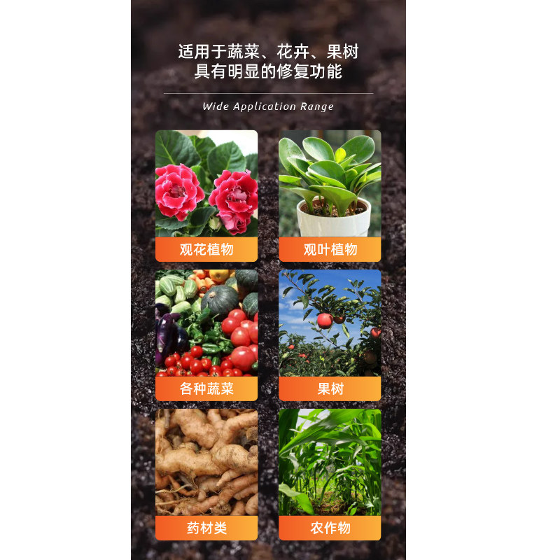 硼肥蔬菜水溶叶面肥基肥油菜硼冲施硼砂通用花卉果蔬果树微量元素,淘宝优惠券,粉丝福利购,淘宝优惠卷