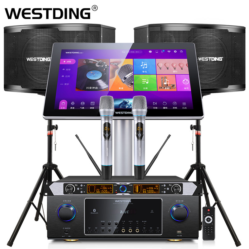 威斯汀a9家庭ktv套装全套家用话筒 威斯汀KTV/卡拉OK音箱