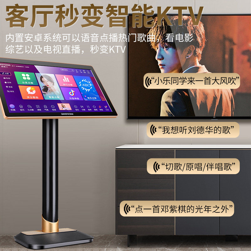 威斯汀银河一号家庭ktv套装音响 威斯汀KTV/卡拉OK音箱