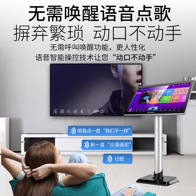 【旗舰套装】威斯汀q8专业家庭ktv 12 威斯汀KTV/卡拉OK音箱