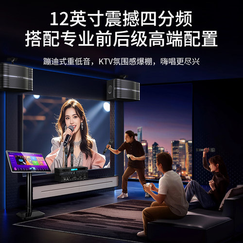 威斯汀专业家庭ktv音响套装卡拉ok点歌唱歌机全套家用k歌影院音箱 - 图1