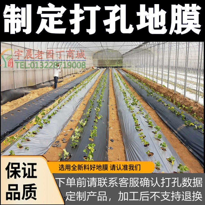 定制带洞眼农用塑料薄膜蔬菜双色打孔地膜银黑地膜草莓辣椒西红柿,淘宝优惠券,粉丝福利购,淘宝优惠卷
