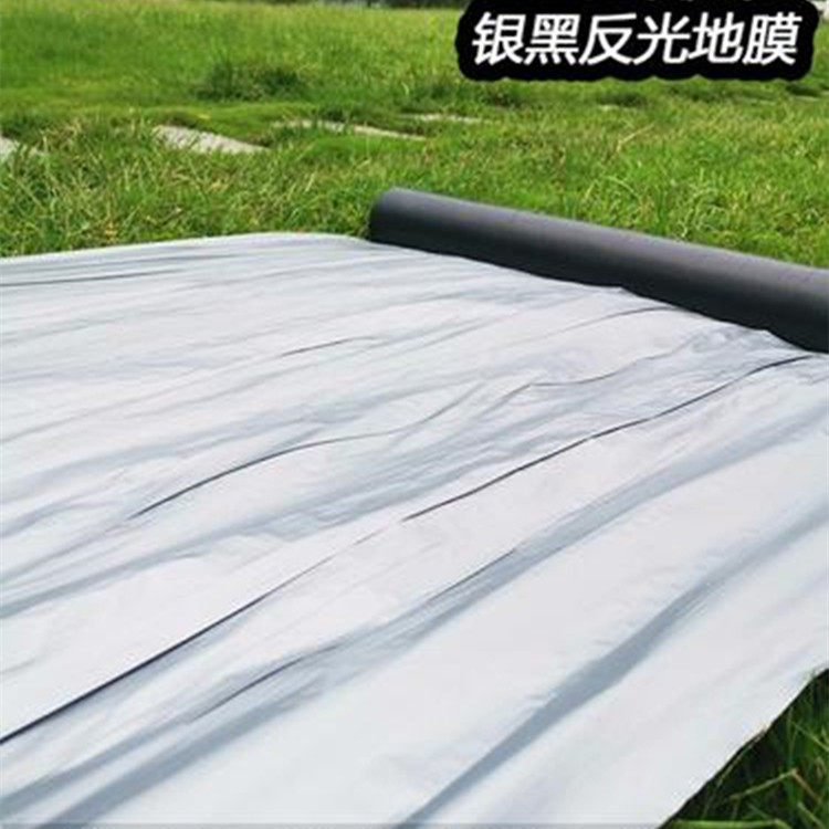 农用银黑地膜防草银灰反光地膜塑料薄膜大棚蔬菜双色除保温湿胶纸,淘宝优惠券,粉丝福利购,淘宝优惠卷