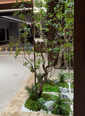 高端会所景观装饰大型落地马醉木