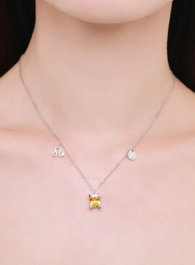 摩典十二星座轻奢高级感锁骨链