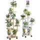 Living room floor-standing flower shelf balcony storage rack outdoor courtyard succulent iron flowerpot bracket shelf extension rack