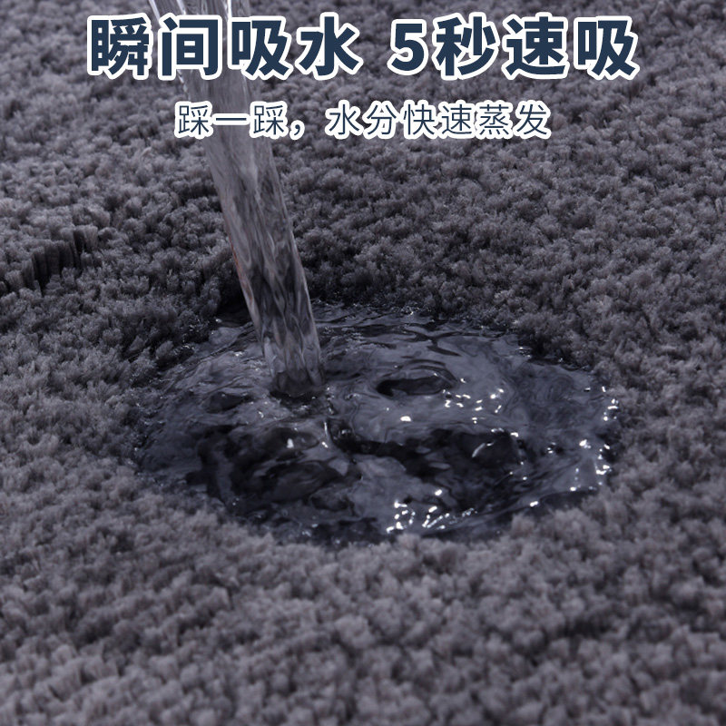 卫生间吸水门口进门速干防滑门垫 德奇力地垫