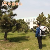 华盛泰山 Электрораспылитель, сельскохозяйственный спрей, WF-20, 20b