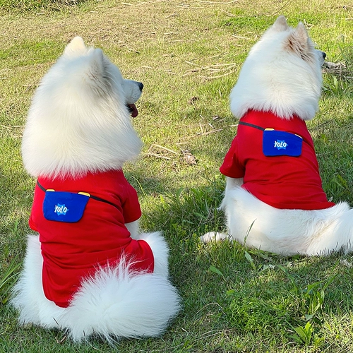 Собачья одежда весна золотисто -ретривер одежда Самоирабрад среднего размера собака большая собака большая собака большая собака весна и лето тонкая