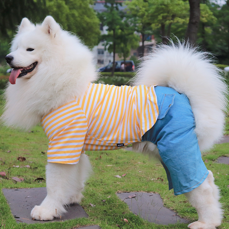 狗狗衣服萨摩耶衣服帅气拉布拉多金毛夏季四脚衣中大型犬夏天薄款 - 图1